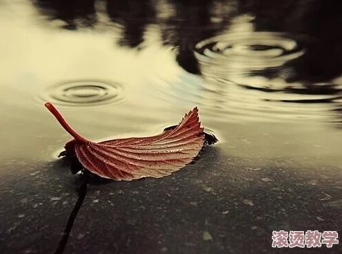 日日操夜夜操视频引发热议，网友热衷讨论其背后的文化现象与社会影响，相关话题持续升温