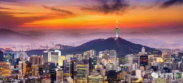 亚洲 日本 韩国 欧美：探讨这四个地区在文化、经济和科技领域的相互影响与发展趋势，揭示其独特魅力与挑战